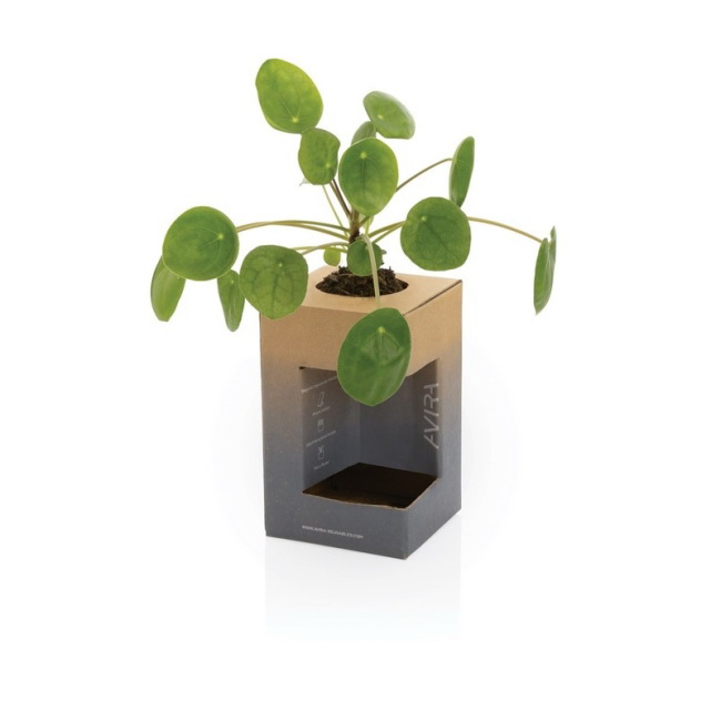 Avira Alya kubek termiczny 300 ml, czarna stal RCS