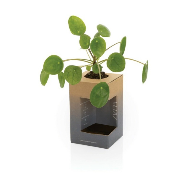 Avira Alya kubek termiczny 300 ml, granat RCS